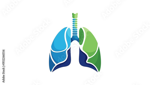 Human Lungs Anatomy Illustration.