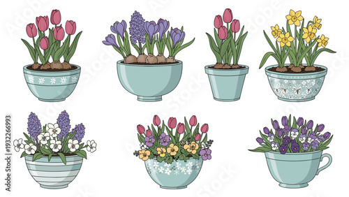 Charming collection of spring flowers like tulips, daffodils, and hyacinths growing in various decorative blue pots and ceramic bowls.