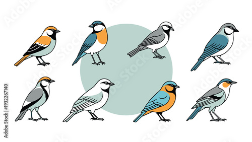 Detailed set of eight various colorful birds perched in different poses arranged around a soft green circular shape.