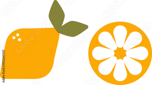 vector illustration of an orange fruit