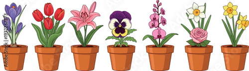 Colorful spring flowers in terracotta pots vector set featuring tulips lilies pansy and daffodils