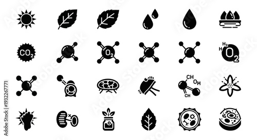 Collection of simple black icons representing various scientific concepts and elements on a white background viewed from a straightforward perspective