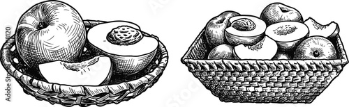 Peaches and apples in woven baskets hand drawn engraving set for rustic food product design