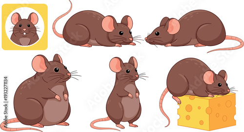 Cute cartoon mouse character set with cheese and different poses adorable rodent vector illustration collection