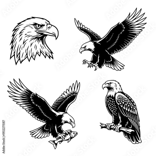 Bold Eagle Line Art Vector