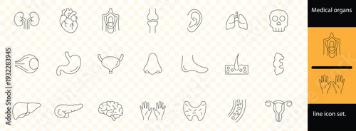 Minimal line human anatomy and body organ icon set featuring medical health hands bones organs illustration design symbols education healthcare.