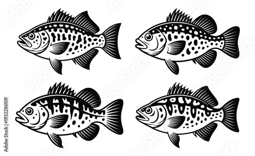 Monochrome Sunfish Silhouette, Freshwater Sunfish Collection, Black and White Sunfish vector illustration