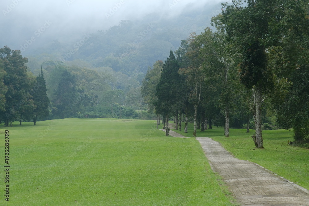 Fototapeta premium Panoramic Green Golf Course Surrounded by Trees and Forested Hills in Light Mist