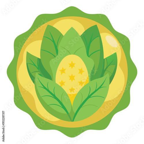 corn salad leaves rosette