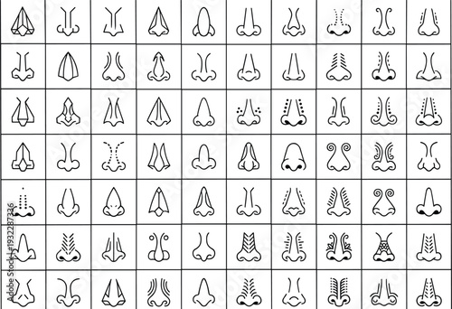 Nose Icon Collection with Various Shapes and Decorative Styles, Minimal Line Art Facial Anatomy Vector Set