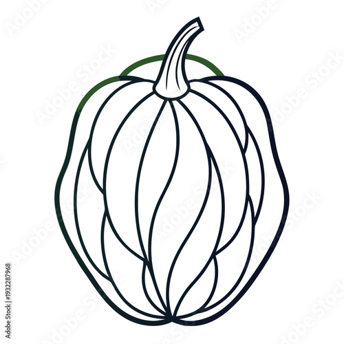 chayote line art vector