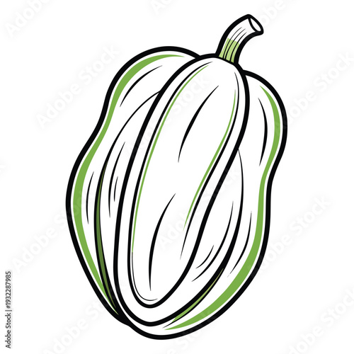 chayote line art vector