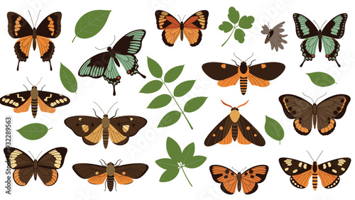 Beautiful collection of various butterfly and moth species arranged with green leaves on a clean and simple white background.