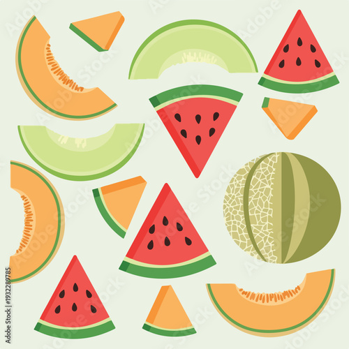 Colorful vector illustration of various fruit slices and a melon
