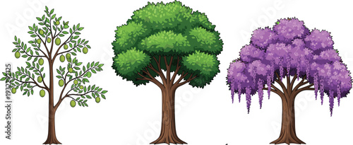 Collection of cartoon trees including fruit tree, green leafy tree and purple flowering tree isolated on white background illustration