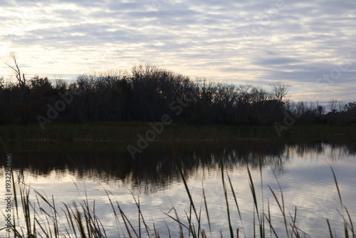 Overcast day reflecting in the water