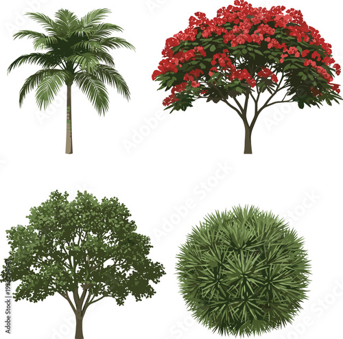 Coconut Palm, Red Flowering Royal Poinciana, Green Shade Tree, Spherical Bush Palm Illustration for Design and Nature Themes