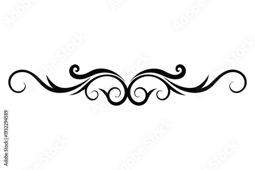 Black decorative swirls and curls ornate line on white background 2
