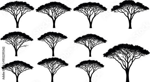 Black silhouette set of African acacia trees, savanna umbrella thorn tree icons, safari landscape elements isolated on white background,