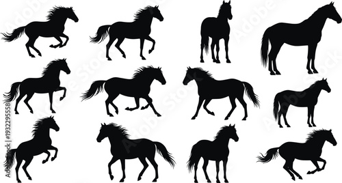 Black horse silhouettes set featuring wild stallions in various poses like running galloping jumping and standing isolated on white background for vector designv