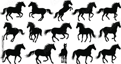 Black horse silhouettes set showing running, jumping, rearing and walking poses, equine animal illustration isolated on white background