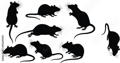 Black rat silhouette collection showing multiple poses wild rodent animal profiles isolated on white background vector illustration set