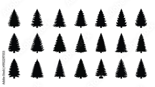 A group of pine trees on a white background isolated on white background, Vector