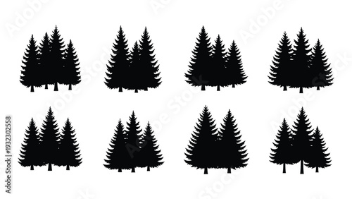 A group of pine tree silhouettes on a white background isolated on white background, Vector