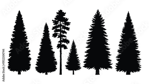A group of pine tree silhouettes on a white background isolated on white background, Vector