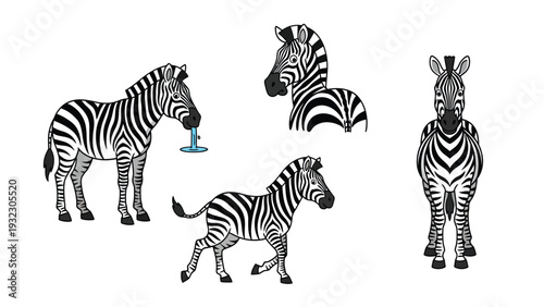 Stylized Zebra Illustrations: Set of Adult and Foal Zebras in Various Poses, Including Drinking and Front View