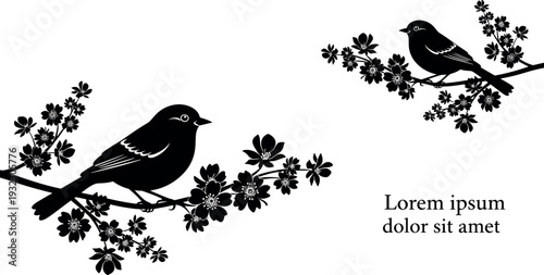 Gave me a title about this photo 'must have 20 word' for adobe stock with SEO maintain with comma

Gave me a keyword, 15 a word, 15 two word, 15 three word about this photo for adobe stock with SEO ma