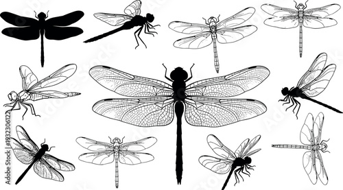 Gave me a title about this photo 'must have 20 word' for adobe stock with SEO maintain with comma

Gave me a keyword, 15 a word, 15 two word, 15 three word about this photo for adobe stock with SEO ma