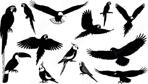 Gave me a title about this photo 'must have 20 word' for adobe stock with SEO maintain with comma

Gave me a keyword, 15 a word, 15 two word, 15 three word about this photo for adobe stock with SEO ma