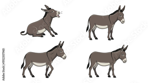 Four cartoon donkeys in various poses: braying, standing, and walking. Isolated vector illustration.