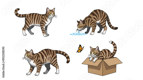 Tabby Cat Illustration Set: Standing, Drinking, Walking, Playing with Butterfly in Box. Pet Activities Collection.
