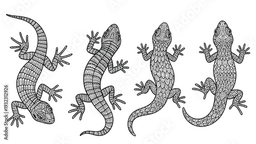 Hand-drawn black and white lizard illustrations set. Detailed reptile vector art of various gecko species with engraved scales.