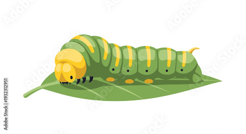 Green Caterpillar with Yellow Stripes Eating Leaf