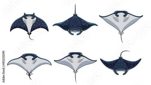 Manta and Eagle Ray Vector Set. Various stylized marine life illustrations, top and bottom views, isolated on white.