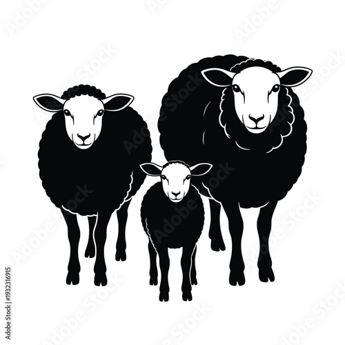 Three sheep in a monochrome illustration showing a mother and lambs