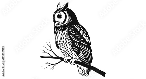 Wise Owl Perched on Branch - Illustration