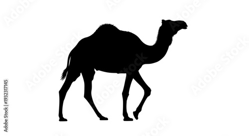 Camel Silhouette