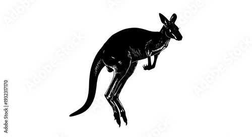 Black Silhouette Kangaroo Jumping Isolated on White Background