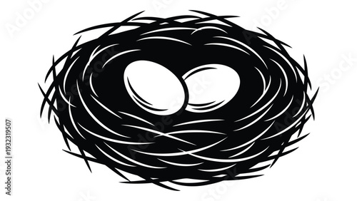 A bird's nest with two eggs inside isolated on white background, Vector