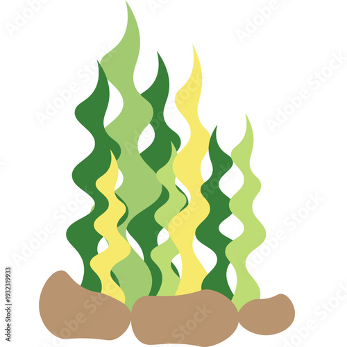 illustration of marine life