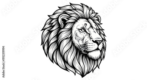 Majestic Lion Head Drawing, King of the Jungle, Wild Animal Portrait