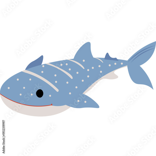 illustration of marine life