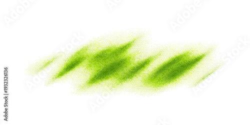 Fresh green grass and fern leaves macro isolated on white background showing summer garden growth and plant texture