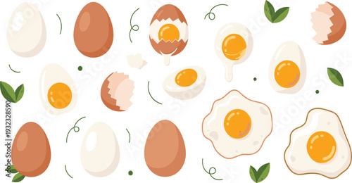 Fresh Chicken Egg Vector Set with Whole Shells, Fried Sunnyside Up Eggs, Scrambled Eggs, Boiled Halves, and Cracked Shell with Yolk for Breakfast and Culinary Food Designs