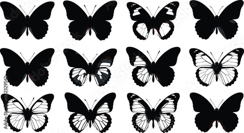 Black Silhouette and Detailed Wing Pattern Set of Various Butterflies Isolated on White Background for Nature Beauty Spring Summer Garden and Biological Education Design Projects