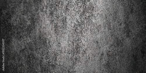 A detailed grayscale texture showcases a rough grainy surface with subtle variations in tone and light